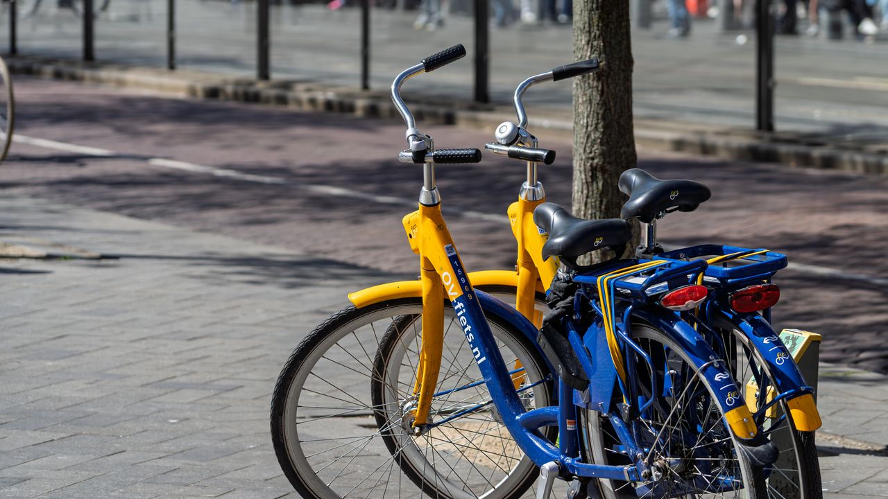 Standard Bike Rental (per day)